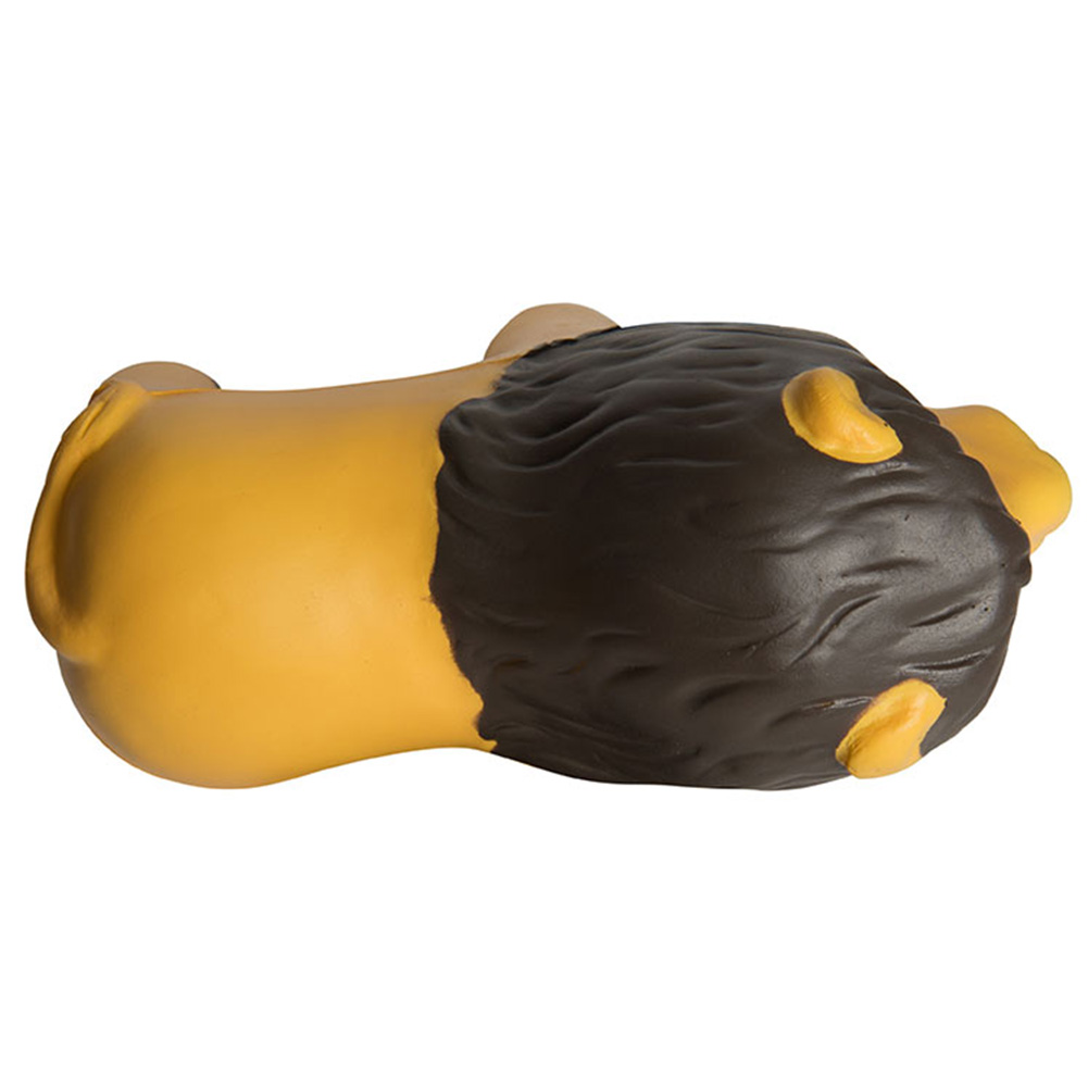 Product View