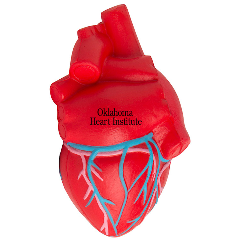 Anatomic Heart with Veins Stress Reliever 6
