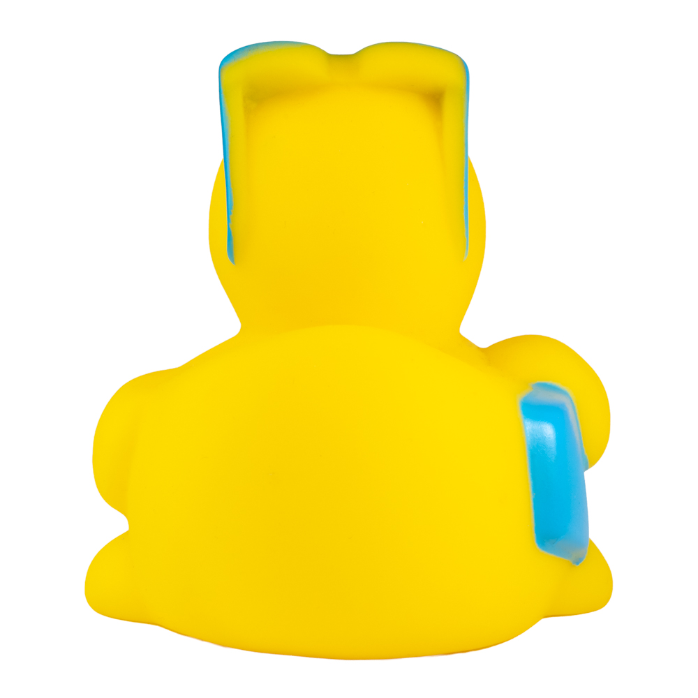 Surfing Duck 6