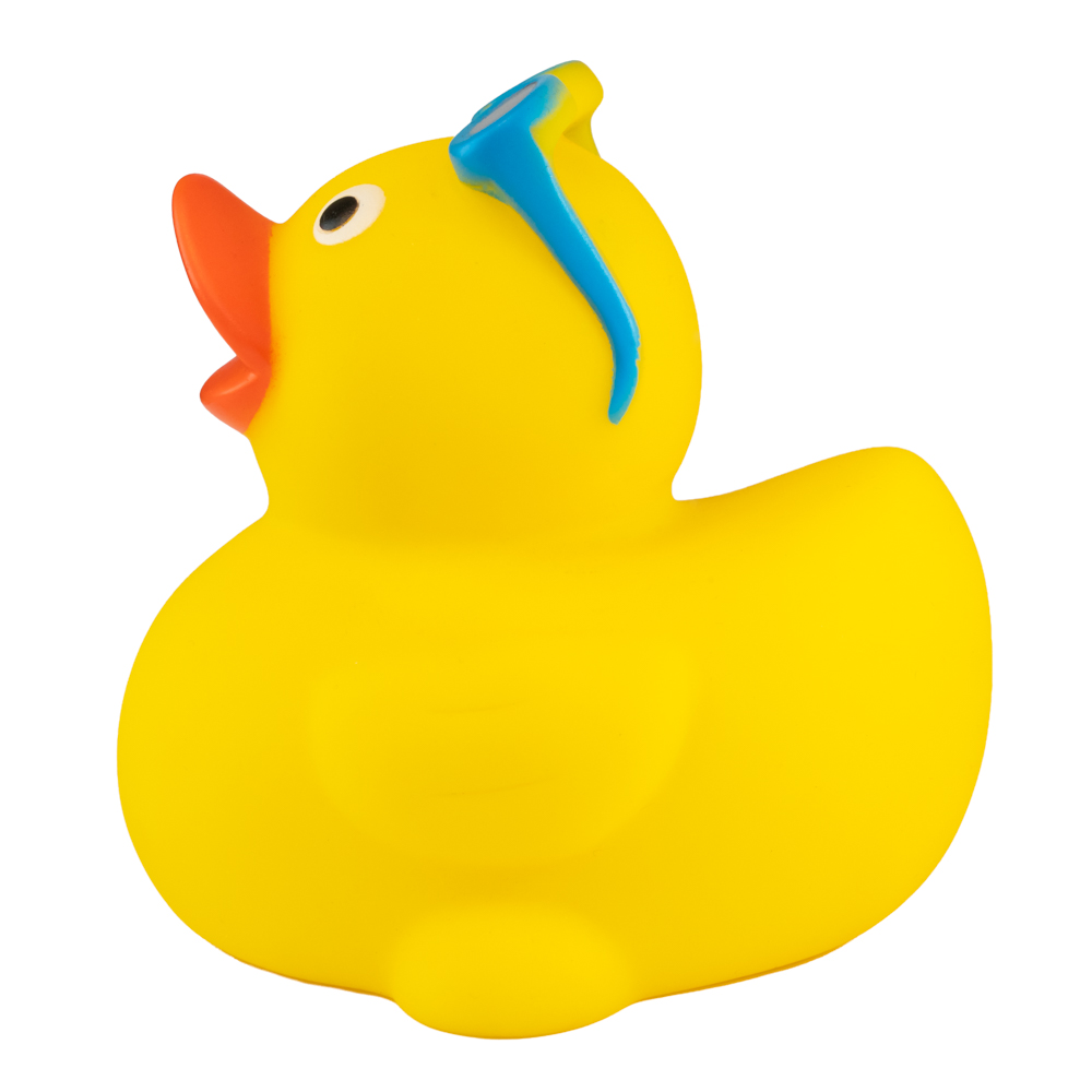 Surfing Duck 5